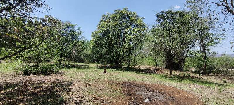 2 Acre Ready Farmhouse for sale 9 km from Karjat.