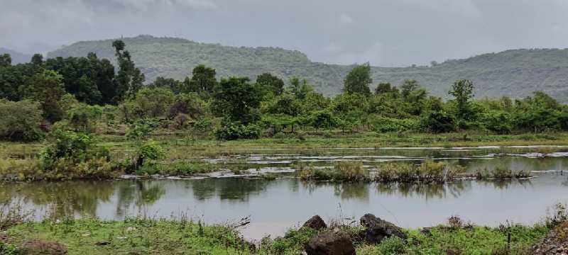 River view 39 Gunthe agriculture land for sale in Karjat, Just 200 mtr from Raddison Blu Resort.