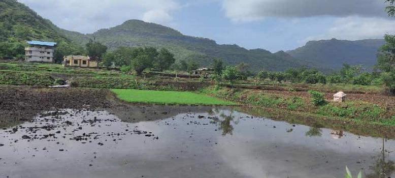 River view 25 Gunthe agriculture land for sale in Karjat, Just 400 mtr from Raddison Blu Resort.
