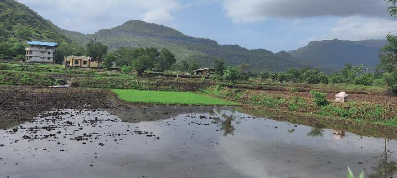 River view 25 Gunthe agriculture land for sale in Karjat, Just 400 mtr from Raddison Blu Resort.
