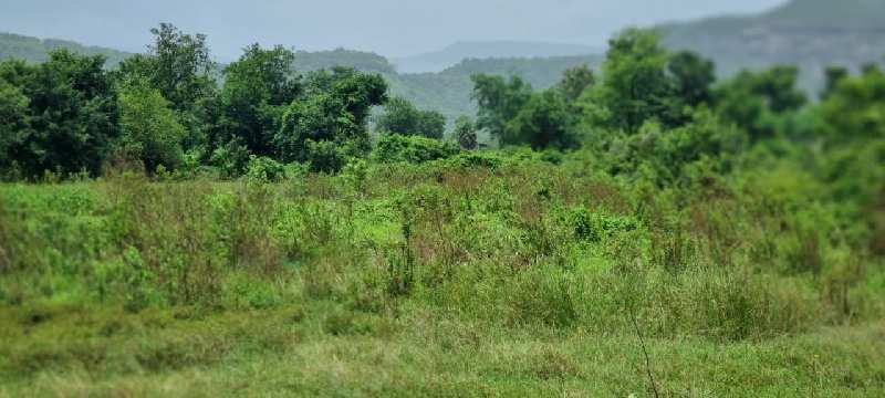 Gaothan touch 2.5 Acre land for sale at village Barne, Karjat.