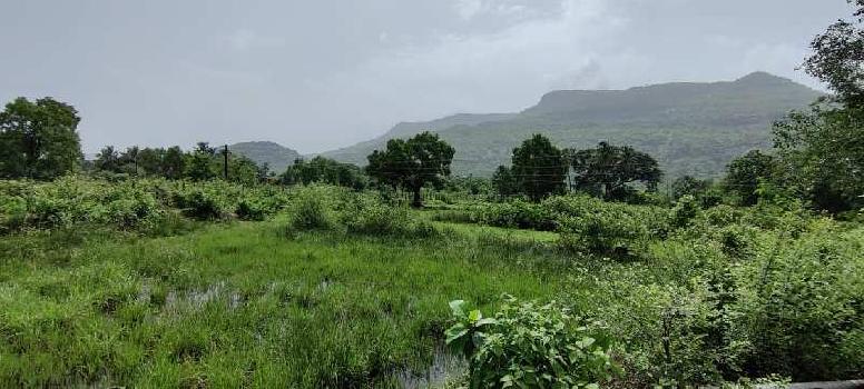 78 gunthe agriculture  land for sale at Near Kushiwali, Karjat.