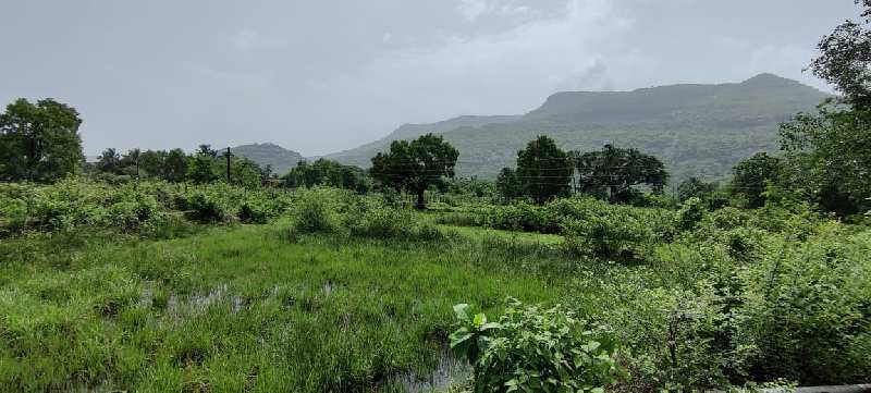 78 gunthe agriculture  land for sale at Near Kushiwali, Karjat.