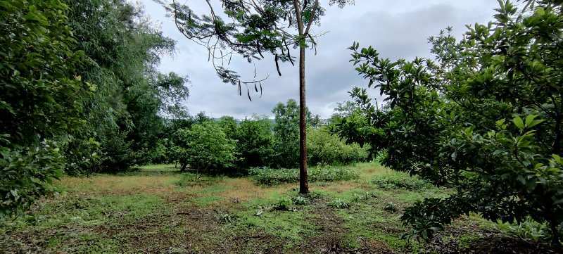 River & Canal Touch 1.5 acre farm house For Sale at Tata road, Karjat.