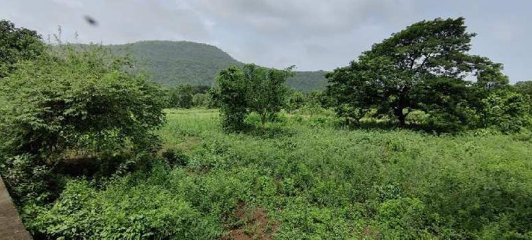 2.5 acre agriculture land for sale near UBS, Kushiwali, Karjat.