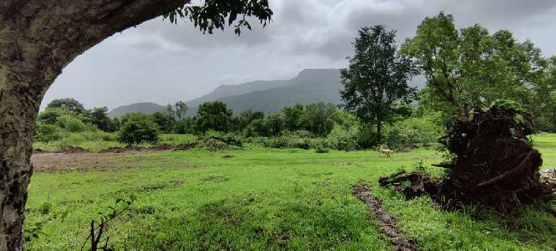 3 agriculture land for sale at Kushiwali, Karjat.
