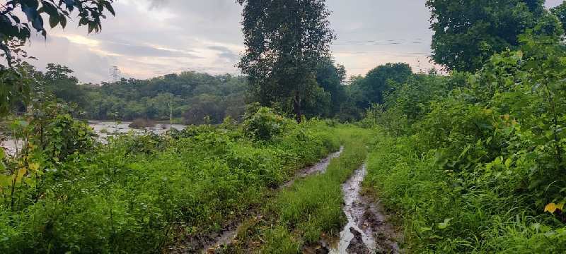 8 acre 12 month flowing river touch land for sale 4 km from Kadav Market, Karjat.