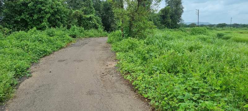 6 Acre table agriculture land for sale in karjat
