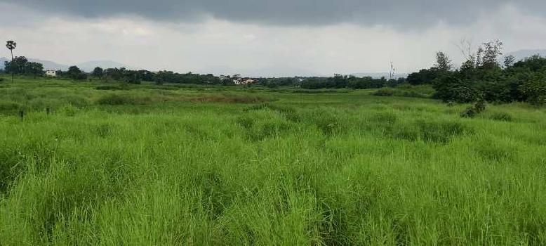 1 Acre Agriculture land for sale at Village Ganegaon, Karjat.