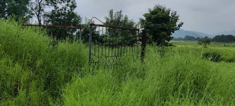 1 Acre Agriculture land for sale at Village Ganegaon, Karjat.
