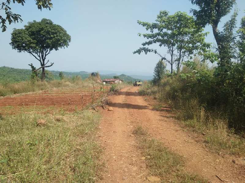 AVAILABLE FOR SALE.*  *8 Acres Agricultural Land.* *200 KMS. FROM  THANE.* *(Between Mandangadh & Dapoli)*