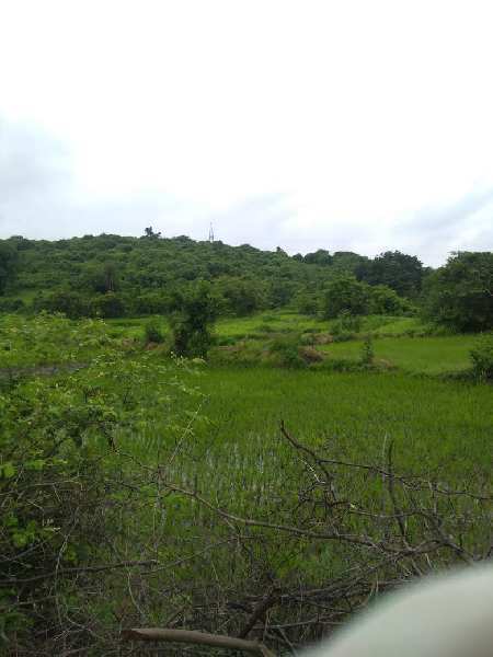 10000 Sq.ft. Agricultural/Farm Land for Sale in Western Express Highway, Mumbai
