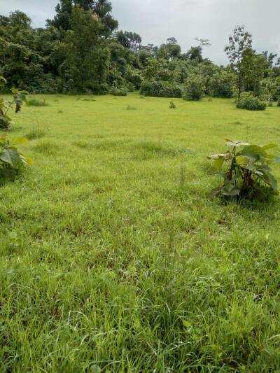 38 Guntha Agricultural/Farm Land for Sale in Mangaon, Raigad