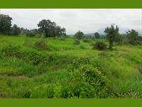 38 Guntha Agricultural/Farm Land for Sale in Mangaon, Raigad
