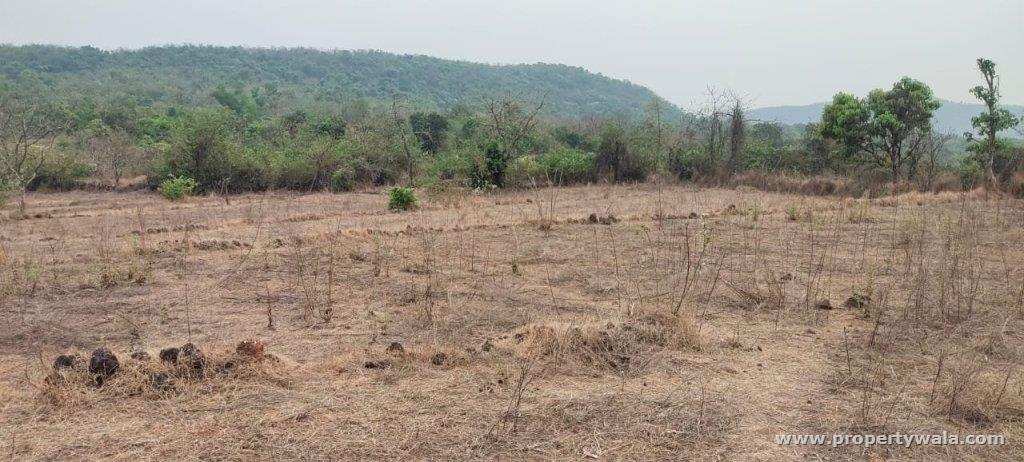 2.5 Acre Agricultural/Farm Land for Sale in Mangaon, Raigad