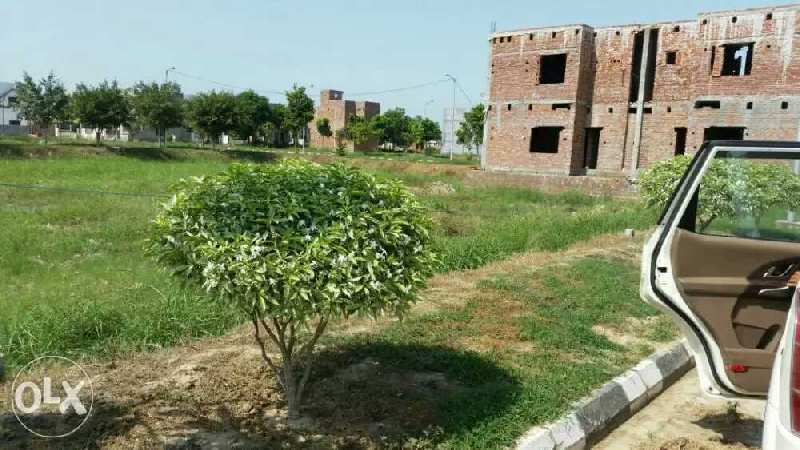 Residential Plot for Sale in Amritsar (220 Sq. Yards)
