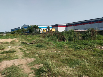 15 Bigha Industrial Land / Plot for Sale in Amta Road, Howrah