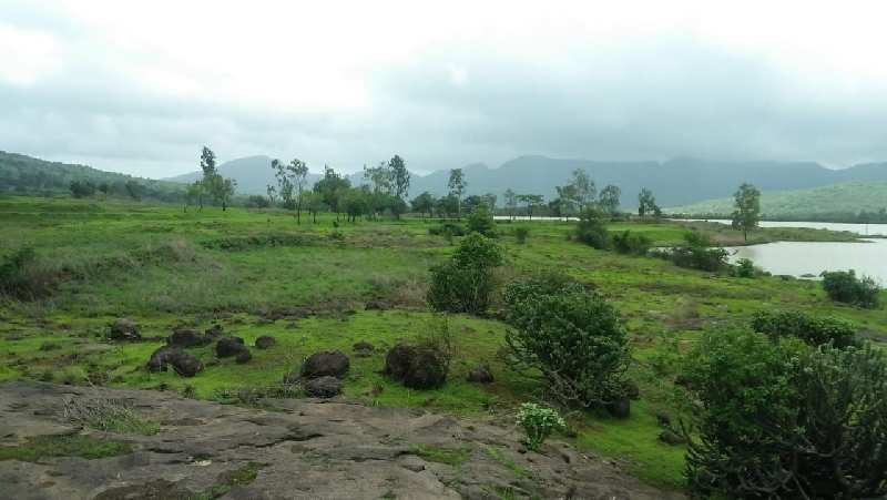 Green Zone Land For Sale In Pawna Lake, Lonavala Khandala