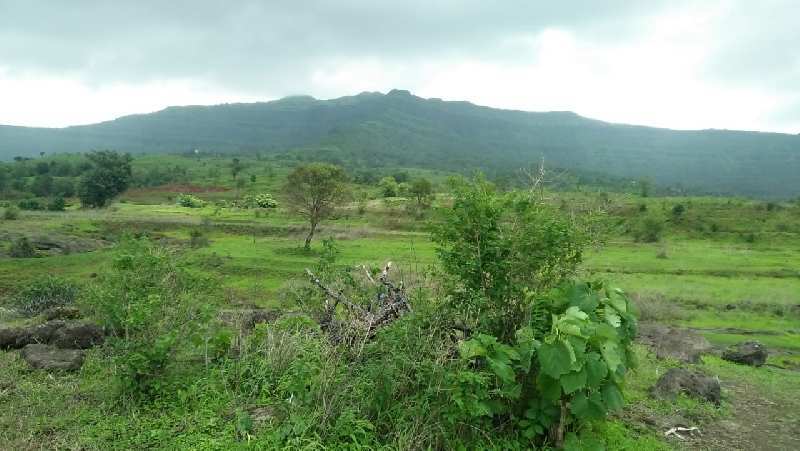 Agriculture Land For Sale In Pawna Lake