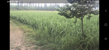 Property for sale in Purquazi, Muzaffarnagar