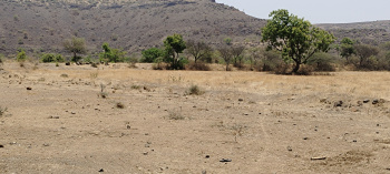 60 Acres Land for sale near Saswad.