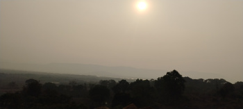 31 Acres Agricultural Land for sale at Alibag Roha Road