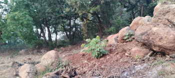 Property for sale in Alibag, Raigad