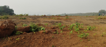 Property for sale in Alibag, Raigad