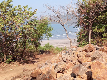 Sea View Land for sale at Anjarle Dapoli
