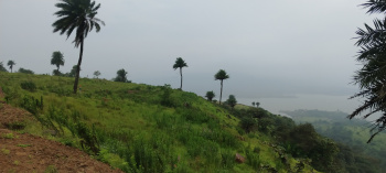11000 Sqft farmhouse Bhatghar dam view plot for sale
