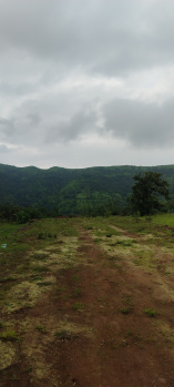 Property for sale in Velhe, Pune