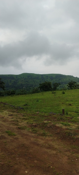 Agricultural/Farm Land for Sale in Velhe, Pune (11010 Sq.ft.)