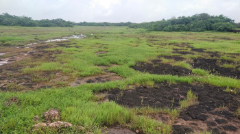 114 Acre land for sale Malgund