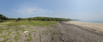 Property for sale in Devgad, Sindhudurg