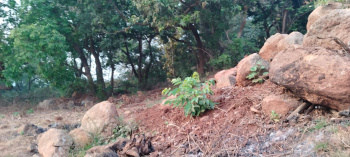 Property for sale in Alibag, Raigad