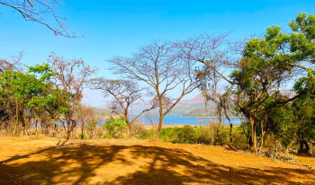 17 Acres Land for sale near Mulshi
