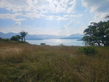 12 Acre Agriculture land for sale at Mulshi