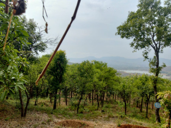 21 Acres farm land for sale near Pawana Dam Maval