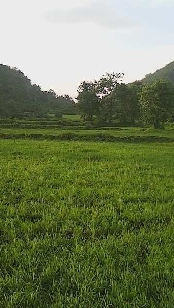 65 Acre Agricultural/Farm Land for Sale in Mangaon, Raigad