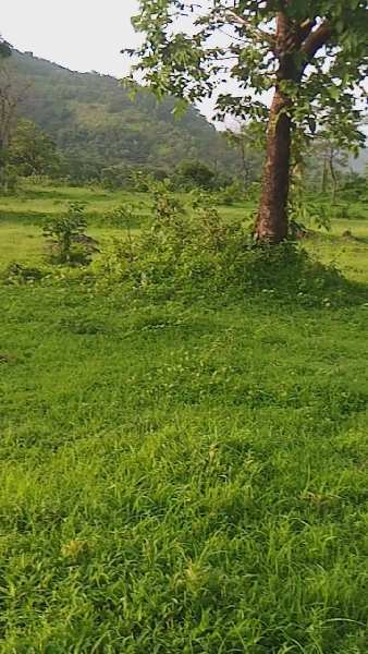 65 Acre Agricultural/Farm Land for Sale in Mangaon, Raigad