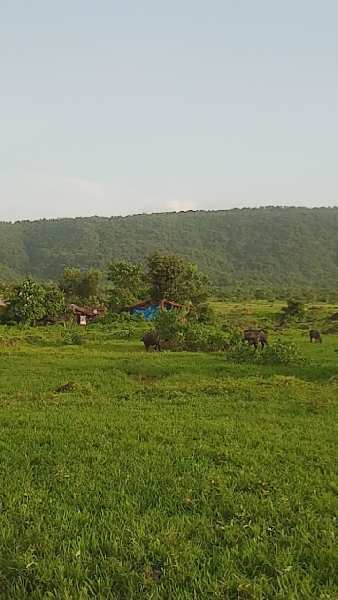 1000 Acre Agricultural/Farm Land for Sale in Mangaon, Raigad