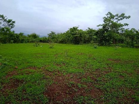 82 Guntha Agricultural/Farm Land for Sale in Mangaon, Raigad