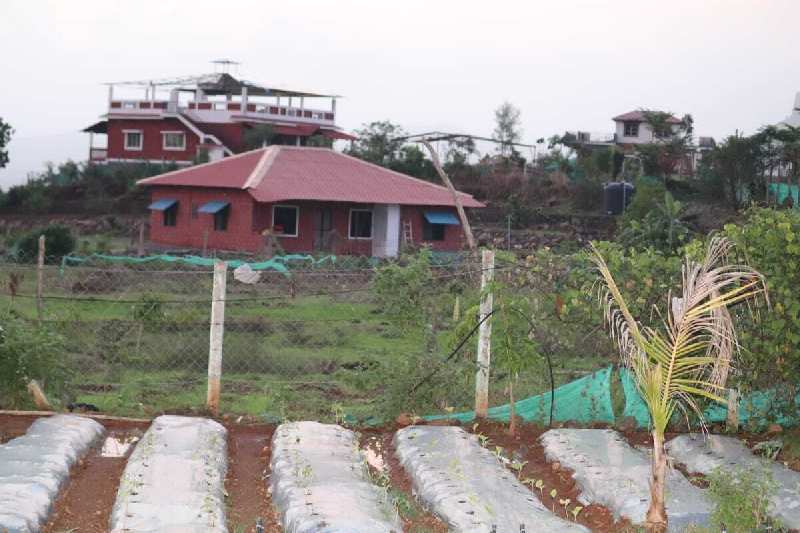 Agreeculture/ Farmhouse land sale in Pali