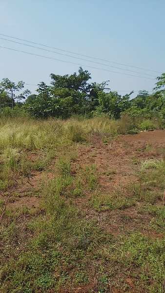 1 Acre Agricultural/Farm Land for Sale in Mangaon, Raigad