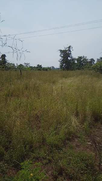 1 Acre Agricultural/Farm Land for Sale in Mangaon, Raigad