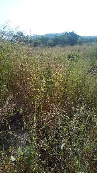 Agritulture/ Warehouse Land For Sale in Uran