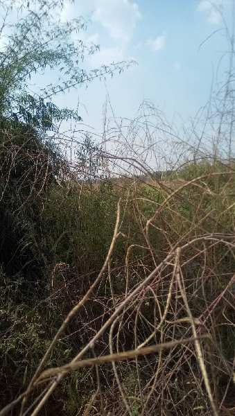 Agritulture/ Warehouse Land For Sale in Uran