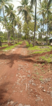 20 Guntha Agricultural/Farm Land for Sale in Mangaon, Raigad