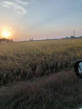 Property for sale in Machhiwara, Ludhiana