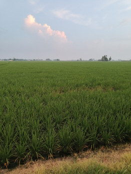 Property for sale in G. T. Road, Ludhiana